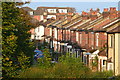 Houses in Foundry Lane seen from Millbrook station footbridge