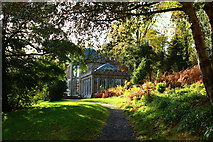 NS2310 : Camellia House, Culzean by Billy McCrorie