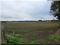 Field towards Holly House Farm