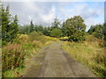 Forest track from road (B741) heading towards Castle Hill