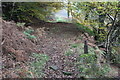 Byway up to Ebbw Valley Walk