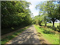 Lane near Moorlaw