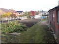 Allotments - off Footpath, near East View