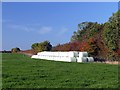 Silage bales at Halloughton Wood Farm