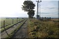 Mast and road, Scroggiehill