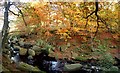 SK2579 : Autumn colour by Burbage Brook by Graham Hogg