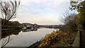NZ2863 : River Tyne from path near Walker Riverside Park by Chris Morgan