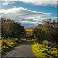 Looking down the minor road at Tannachy