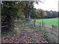 Track beside Windmill Wood