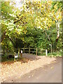 Bridge over the Burn River at Burnhayes Farm