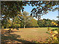 Trees around the Green, Chapel Row