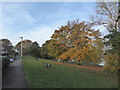 Grass and trees by Madeley Pool