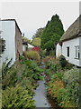 Stream running between the houses in Thorverton