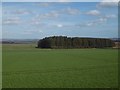 Field, Grange of Conon