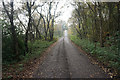 Track to New Hall Farm