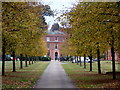 Windsor Great Park: approaching Cumberland Lodge