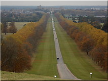 SU9672 : Windsor Great Park: an autumn view along the Long Walk by Chris Downer