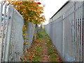 Public footpath from Station Road to the sea wall