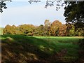 Grassland and woodland near Yarrow Reservoir