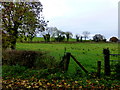 Carony Townland