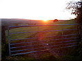 Gateway to a Mendip sunset