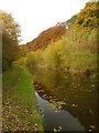 Autumn colour reflected in the Macclesfield Canal