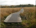 SJ9070 : Boardwalk in Danes Moss Nature Reserve by Graham Hogg