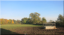 SU5668 : Farmland near Midgham Green by Des Blenkinsopp