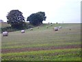 Bales of Hay on Iverley Hay Farm