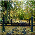 Rectory gates