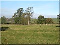 Ridge and furrow at Helmsley