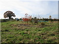 Allotments, Hethe