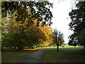 Autumn, Willaston Park