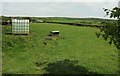 Field near Penleaze