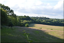 TQ3226 : Farmland by Copyhold Lane by N Chadwick