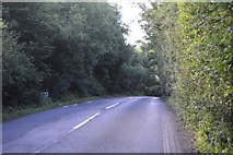 TQ3227 : Bordehill Lane by N Chadwick