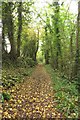 New Lane, near Alweston