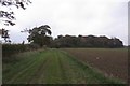 Holt Lane approaching Holt Woods