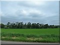 Farmland on the north side of the Monaghan Road