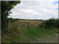 Footpath to Allexton