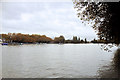 River Thames, Putney Embankment