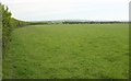 Sheep pasture near Poulza