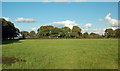 Fields Near Pennymore