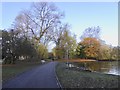 Hanley Park: lake