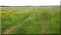 Field east of Headon Cross