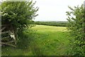 Field near Headon