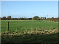 Grazing near Arthill Farm