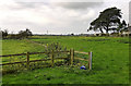 Coastal Farmland View