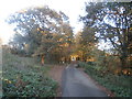 Access Road at Potteric Carr