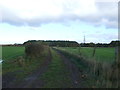 Farm track near Briddon Water Farm